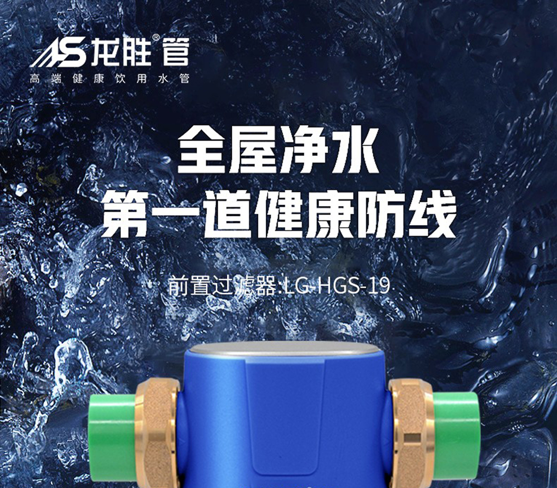 龍勝前置過(guò)濾器LS-HGS-19